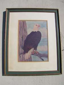 Large Signed Nmbrd Framed Bald Eagle Print Roy E. Boone  