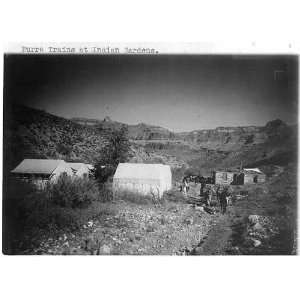   trains at Indian Gardens,c1906,Arizona,AZ,tents,people