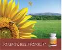 bee products forever living products offers you a remarkable line of 