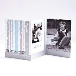 Tri Fold Holiday Cards   Winter Woods By Magnolia Press:  
