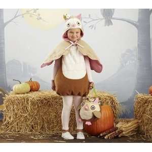 Kids Owl Halloween Costume 2t 3t (Costume Only no bag) : Toys & Games 