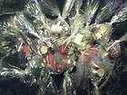 NEW ► 6 ◄ Wiccan Wicca Pagan Magickal Lot Grab Bags and CD BOS 