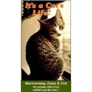  Its a Cats Life [VHS] Artist Not Provided Movies & TV
