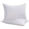   300 Thread Count Standard size Pillows (Set of 2)  