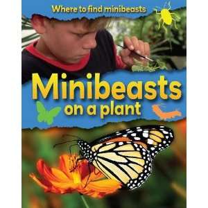 Minibeasts on a Plant (Where to Find Minbeasts 