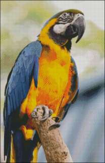 Orange and Blue Macaw Parrot Cross Stitch Pattern  