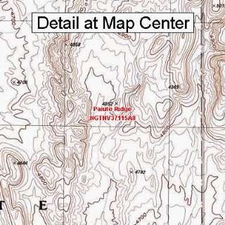  USGS Topographic Quadrangle Map   Paiute Ridge, Nevada 