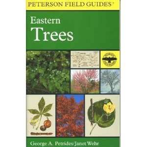   Peterson Field Guide To Eastern Trees   455 Species 