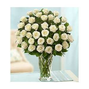 Flowers by 1800Flowers   Three Dozen White Roses for Sympathy  