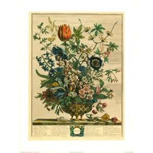   of Flowers, 1730/February by Robert Furber 15x20