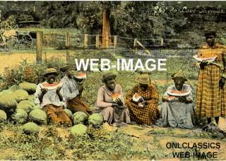 1910 BLACK AMERICANA EATING WATERMELON PHOTO   POSTCARD  