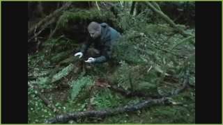 DVD On Track of the Pacific Northwest Sasquatch Bigfoot  