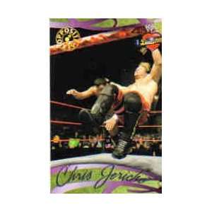 2005 Fleer WWE Divas #67 Chris Jericho:  Sports & Outdoors