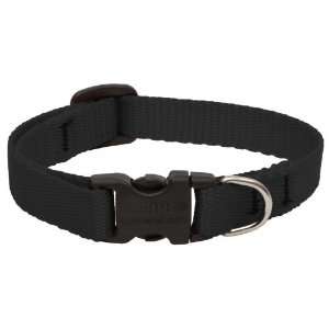   Adjustable Black Collar For Small Dogs & Puppies 27534: Pet Supplies
