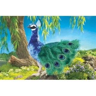 TY Beanie Baby   FLASHY the Peacock [Toy] : Toys & Games : 