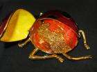 Red Ladybug Trinket Jewelry Keepsake Box Collectable  