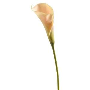  29 Calla Lily Stem (Pack of 12)