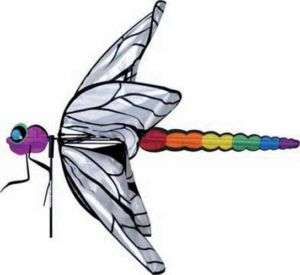 Dragonfly Rainbow Wind Spinner Whirligig Garden Stake  