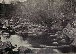 Anglers Paradise Book CD 1898 fish trout salmon  