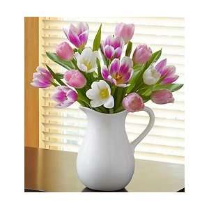 Flowers by 1800Flowers   Pitcher Full of Tulips   Medium  