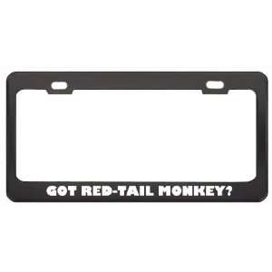 Got Red Tail Monkey? Animals Pets Black Metal License Plate Frame 
