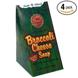 Turtle Island Soup Mix Broccoli Cheese Grocery & Gourmet Food