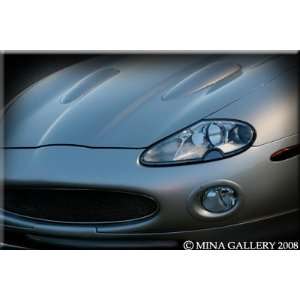    Fog Light Surrounds (Painted) for Jaguar XK8 XKR Automotive