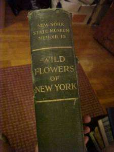 1918 Book WILD FLOWERS of NEW YORK Color Illustrations  
