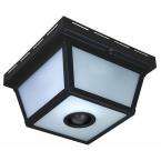 Home Depot   360 Degree Outdoor Motion Sensing Decorative Security 