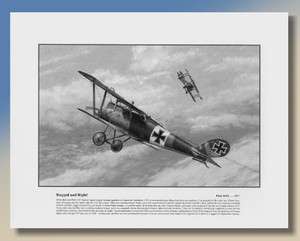 WWI Aviation Art Pfalz D.III, Jasta 10   1/72 1/48  