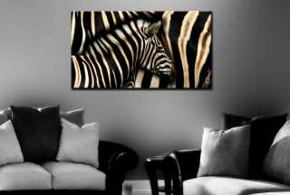 Zebra & Afrika Bild / Leinwand / Bilder / Wandbild Tier 4260254410291 