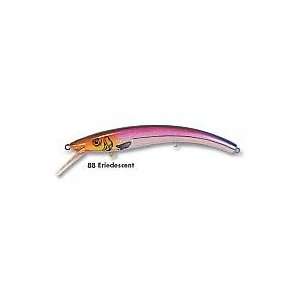  Reef Runner Fishing Tackle Ripstick 900 Eriedescent 