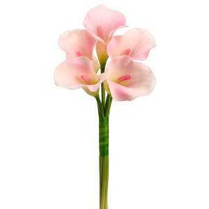  21 Calla Lily Bouquet x5 Pink (Pack of 6): Home & Kitchen