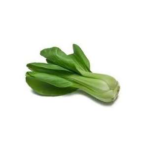   , Pak Choi Joi Choi 299+ Seeds Chinese Cabbage By Hinterland Trading