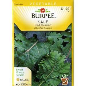  Burpee 51392 Kale Red Russian Seed Packet Patio, Lawn 