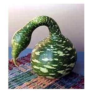  Todds Seeds   Gourds   Speckled Swan Gourds Seed, Sold by 