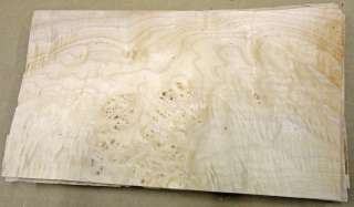 Maple Cluster Burl wood veneer 5 x 8 with no backing (raw veneer 