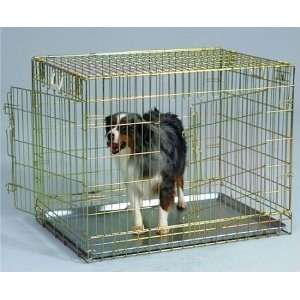 Gold Two Door Wire Dog Crate   Large: Pet Supplies