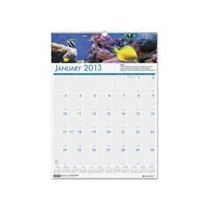    Doolittle Panoramic Sea Life Wall Calendar