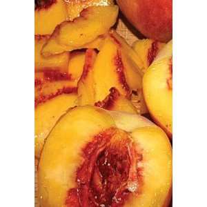  Peach Tree Famously Fragrant Candle