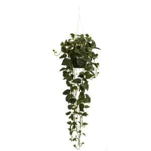  Philodendron Hanging Basket Silk Plant: Patio, Lawn 