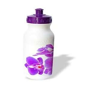   and Bouquets   Purple Orchids   Water Bottles