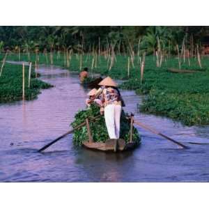 Women Rowing to the Market on the Mekong Delta, Vietnam Photographic 