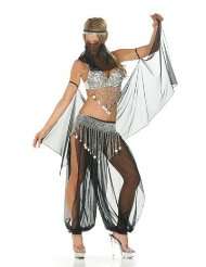 Sexy Arabian Night Belly Dancer Costume   SMALL