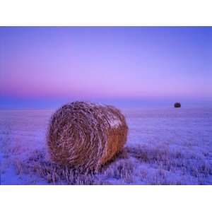  Winter Straw Bales near Cartwright, North Dakota, USA 